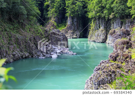 aki木町(Green木町)綠色季節 aki木町(Green木町)綠色季節 69384340