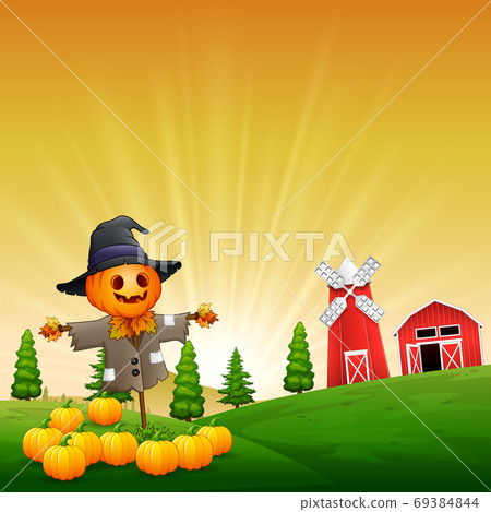 The funny scarecrow protects ripe pumpkins in a garden 69384844