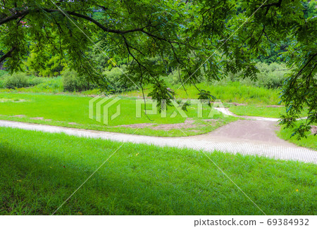 鬱鬱蔥蔥的綠色長廊 鬱鬱蔥蔥的綠色長廊 69384932