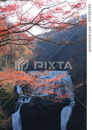 Fukuroda Falls of autumn leaves Fukuroda Falls of autumn leaves 69386399