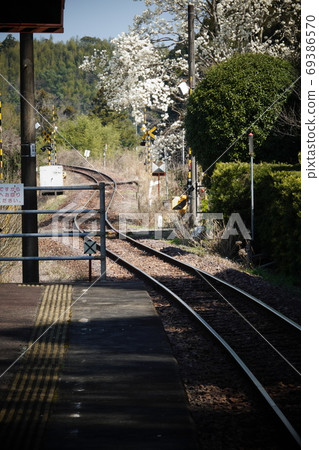 JR木岐線福井站月台，鐵路和白樺荷花 69386570
