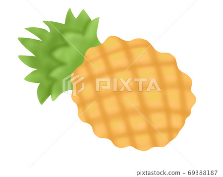 菠蘿(無干線) 菠蘿(無干線) 69388187