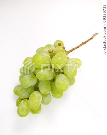 Shine Muscat grapes grapes Shine Muscat grapes grapes 69389732