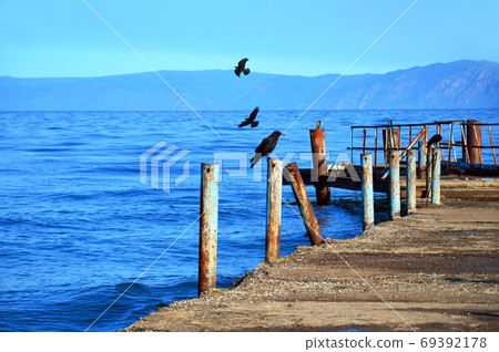 Wooden pier with black ravens arriving and departing. Summer landscape near Lake Baikal. Blue-blue Wooden pier with black ravens arriving and departing. Summer landscape near Lake Baikal. Blue-blue 69392178