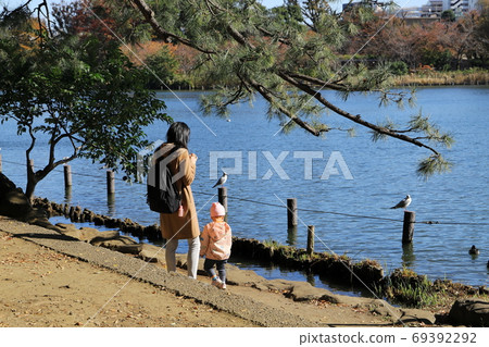 Autumn leaves wash foot pond, Ota-ku, Tokyo Autumn leaves wash foot pond, Ota-ku, Tokyo 69392292