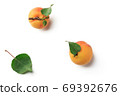 Ripe apricots with green leaves on a white background 69392676