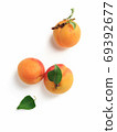 Ripe apricots with green leaves on a white background 69392677