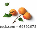 Ripe apricots with green leaves on a white background 69392678