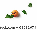 Ripe apricots with green leaves on a white background 69392679