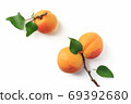 Ripe apricots with green leaves on a white background 69392680