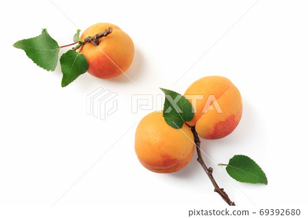 Ripe apricots with green leaves on a white background 69392680