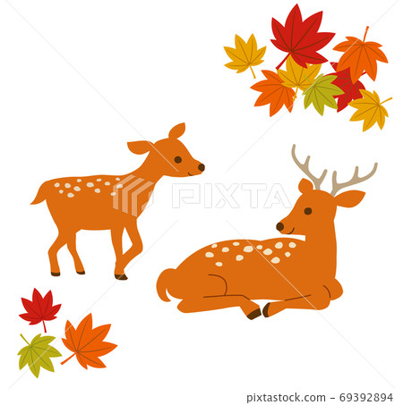 2鹿和秋天的落葉的插圖集 69392894