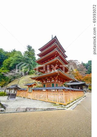 奈良秋天哈斯德拉寺,五層寶塔 奈良秋天哈斯德拉寺,五層寶塔 69393072
