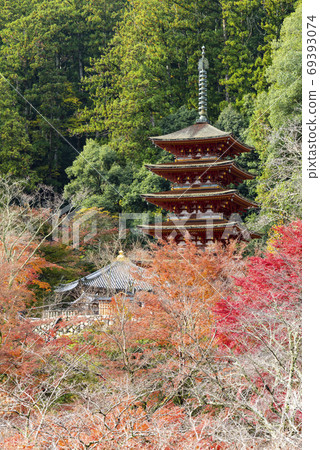 奈良從大殿外的哈塞德拉寺(Hasedera Temple)的五層塔的秋天景色 奈良從大殿外的哈塞德拉寺(Hasedera Temple)的五層塔的秋天景色 69393074