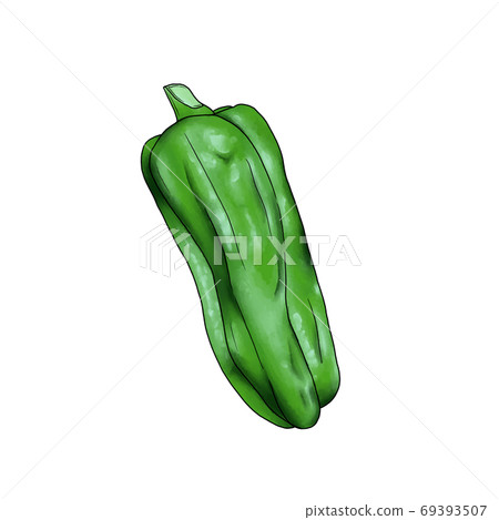 青椒 69393507