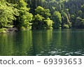 Lake Hokuryu, Iiyama City, Nagano Prefecture, green reflected on the surface of the lake 69393653