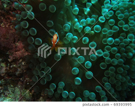 藝術是爆炸！ 69393995