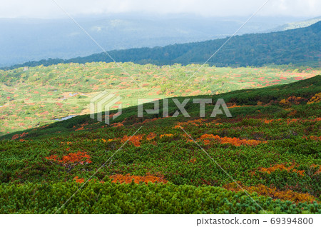 Daisetsuzan National Park Autumn leaves around Asahidake 69394800