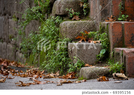 Fall orange leaves and green plants on medieval stones in a park. 69395156