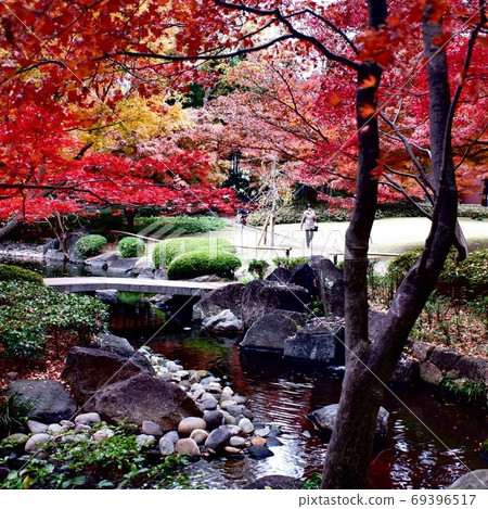 A park with beautiful autumn leaves 69396517