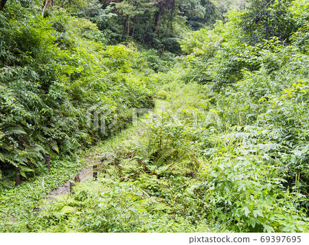 Original scenery of Shonan Miura Peninsula, an unexplored region of Kanto Early autumn (cloudy) in Koajiro no Mori Original scenery of Shonan Miura Peninsula, an unexplored region of Kanto Early autumn (cloudy) in Koajiro no Mori 69397695