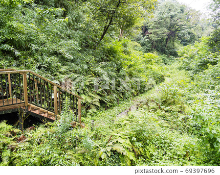 Original scenery of Shonan Miura Peninsula, an unexplored region of Kanto Early autumn (cloudy) in Koajiro no Mori 69397696