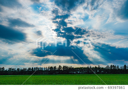 Light rays falling on the field - Stock Photo [69397861] - PIXTA