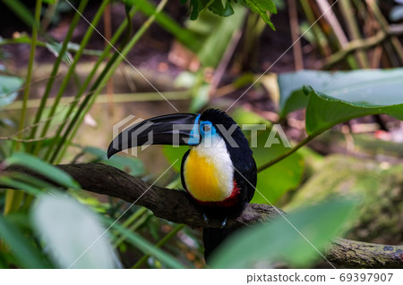 Hime Ouch Hime Ouch 69397907