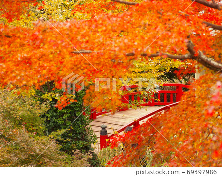 Atami Meizon Momiji Festival 69397986