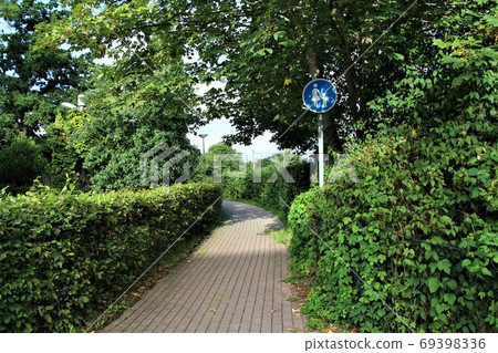 Stone walkway framed by hegdes left and right with a traffic sign pedestrian 69398336