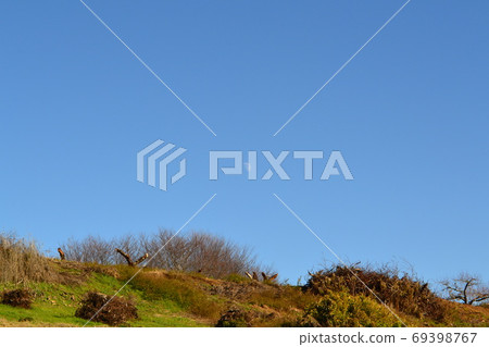 noon moon noon moon 69398767