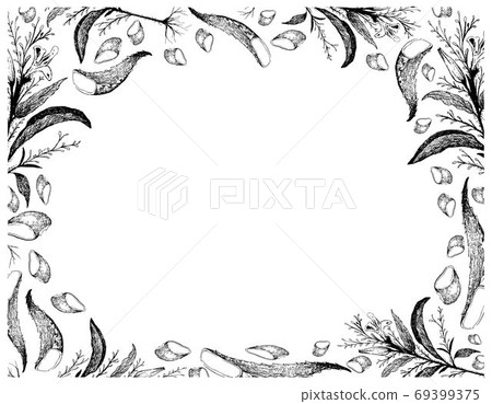 Hand Drawn Frame of Kariyat with Aloe Vera Hand Drawn Frame of Kariyat with Aloe Vera 69399375