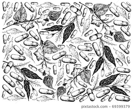 Hand Drawn Background of Kariyat and Sacha Peanuts with Pill Hand Drawn Background of Kariyat and Sacha Peanuts with Pill 69399379