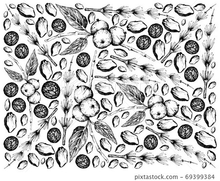Hand Drawn Background of Equisetum and Black Walnut Palnts Hand Drawn Background of Equisetum and Black Walnut Palnts 69399384