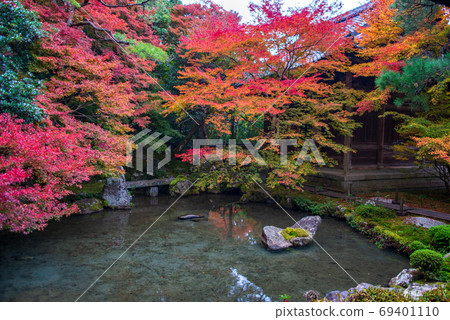 Lotus Temple Autumn leaves Lotus Temple Autumn leaves 69401110