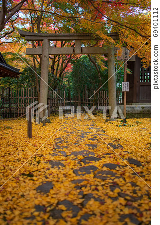 Rakuhoku Rengeji Temple Ginkgo 69401112