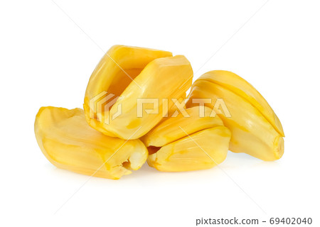 pile of ripe jackfruit isolated on white background, tropical fr pile of ripe jackfruit isolated on white background, tropical fr 69402040