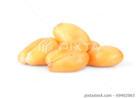 peeled salak fruit isolated on white background, tropical fruit peeled salak fruit isolated on white background, tropical fruit 69402063