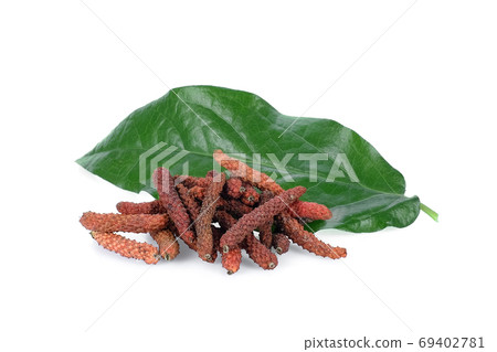 long pepper, pipli or dipli (piper longum) with leaf isolated on long pepper, pipli or dipli (piper longum) with leaf isolated on 69402781