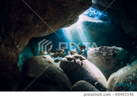 Underwater cave with sun rays school of fish in ocean 69403146