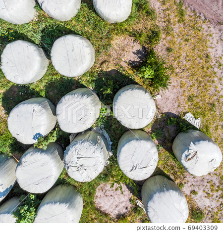 Round bales with silage as animal feed, wrapped in foil Round bales with silage as animal feed, wrapped in foil 69403309