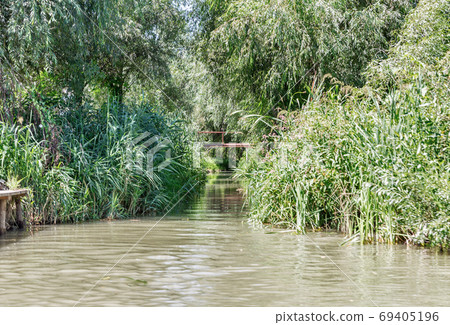 Danube biosphere reserve Belgorodske river summer landscape in Vilkove, Ukraine. 69405196