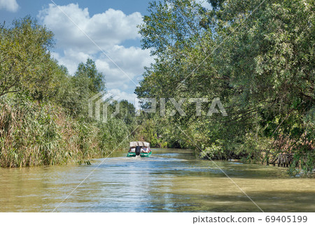 Danube biosphere reserve Ankudinovo river summer landscape. Vilkove, Ukraine. 69405199