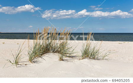 Wild beach landscape near Prymorske, Ukraine. Wild beach landscape near Prymorske, Ukraine. 69405205