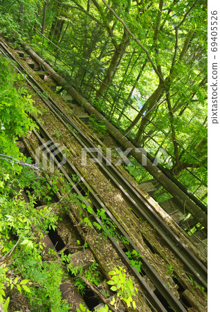 新鮮的綠色奧多摩舊路：從舊路看去的小川町線 69405526