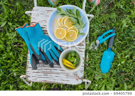 Vintage chair, secateurs, tools, gloves, cup of fresh herbal tea with mint and lemon 69405799