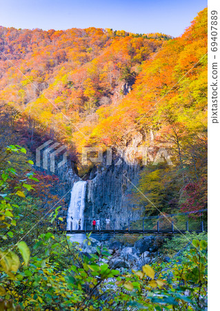 秋苗瀑布(垂直)1 秋苗瀑布(垂直)1 69407889