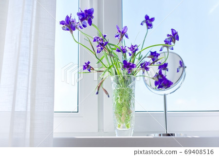 Close up of beautiful blue purple irises in vase, make-up mirror on window 69408516