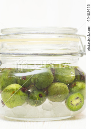 薩魯納酒 69408666