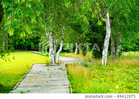 Landscape of campground 69412075